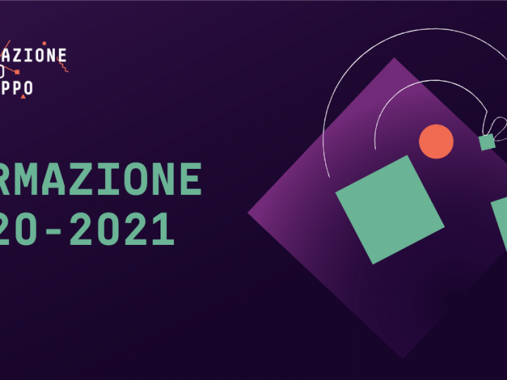 Dati, project manager e imprenditorialità. I percorsi di Innovazione per lo Sviluppo 2020-2021